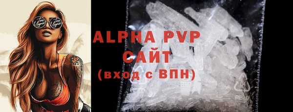 молекула духа Елабуга