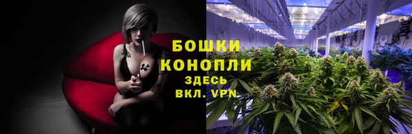 молекула духа Елабуга