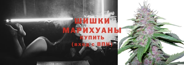 молекула духа Елабуга