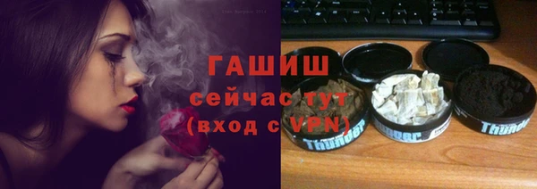 молекула духа Елабуга