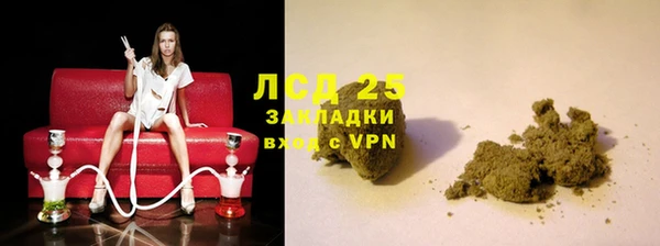 молекула духа Елабуга